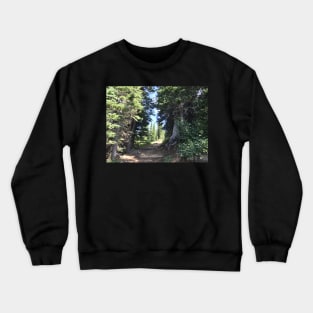 Trail up the Mountain Crewneck Sweatshirt